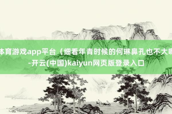 体育游戏app平台（细看年青时候的何琳鼻孔也不大啊-开云(中国)kaiyun网页版登录入口